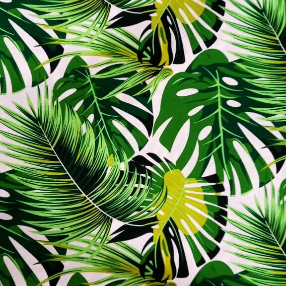 DELICIOUS MONSTER ON WHITE